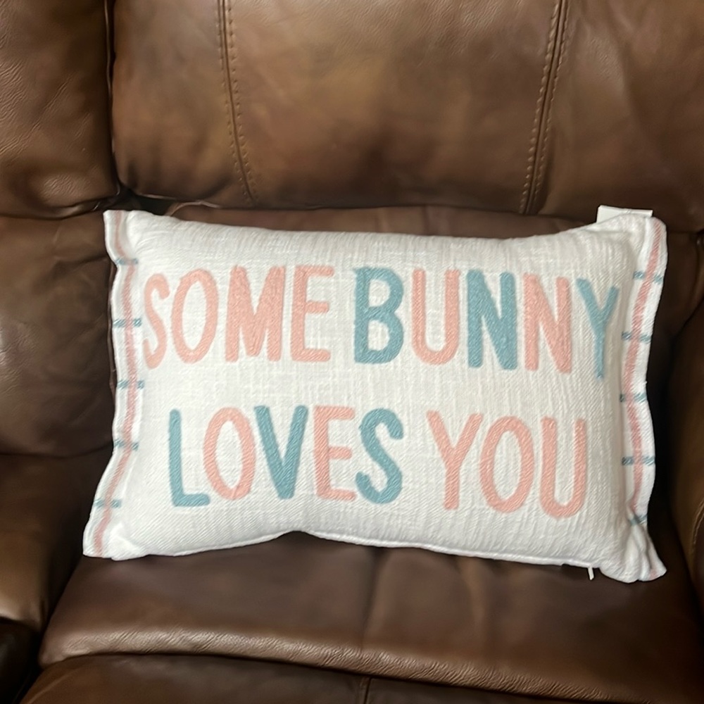 Spring/Easter accent pillow 14x20
